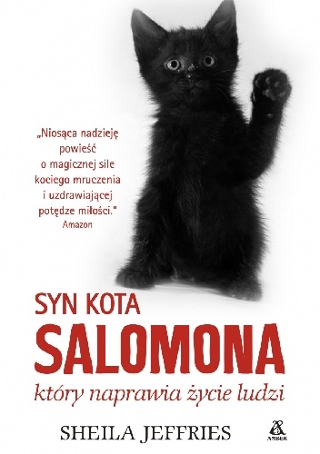 Okładka: Sheila Jeffries - Syn kota Salomona, który naprawia ludzkie życie