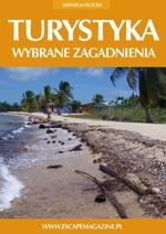 Okładka: Jadwiga Płocka - Turystyka. Wybrane zagadnienia