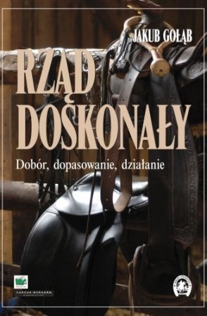 Okładka: Jakub Gołąb - Rząd doskonały. Dobór, dopasowanie, działanie