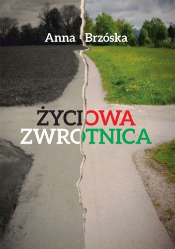Okładka: Anna Brzóska - Życiowa zwrotnica