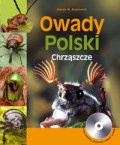 Okładka: Marek W. Kozłowski - Owady polski chrząszcze