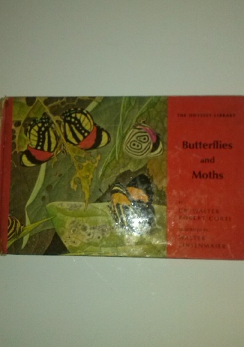 Okładka: Walter Robert Corti - Butterflies and Moths