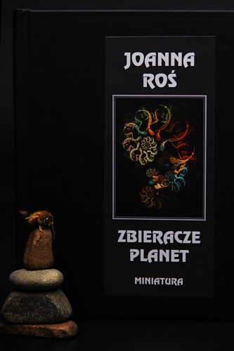 Okładka: Joanna Roś - Zbieracze planet