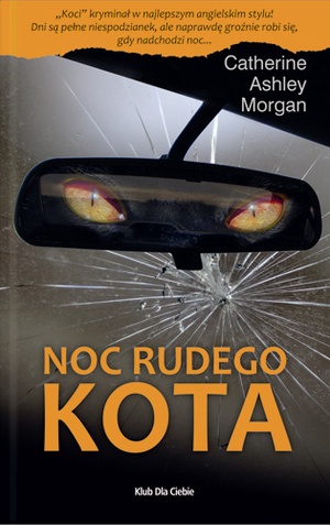 Okładka: Catherine Ashley Morgan - Noc rudego kota