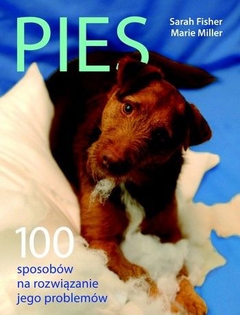 Okładka: Sarah Fisher - Pies. 100 sposobów na rozwiązanie jego problemów