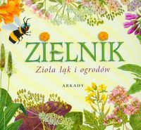 Okładka: Henryk Garbarczyk - Zielnik. Zioła łąk i ogrodów