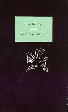 Okładka: Józef Bachórz - Złączyć się z burzą… Studia i szkice o romantycznych wyobrażeniach morza i egzotyki