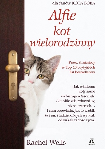 Okładka: Rachel Wells - Alfie kot wielorodzinny