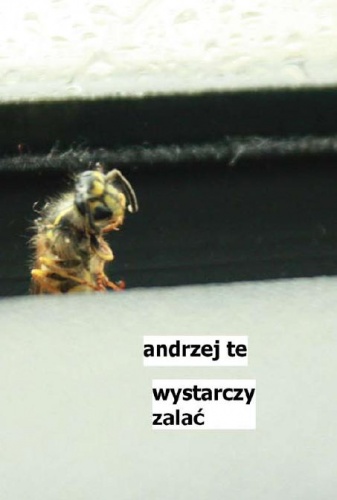 Okładka: Andrzej Te - Wystarczy zalać