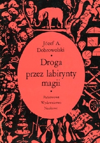 Okładka: JózefAndrzej Dobrowolski - Droga przez labirynty magii.