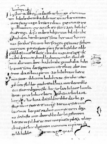 Okładka:  autor nieznany - Hildebrandslied