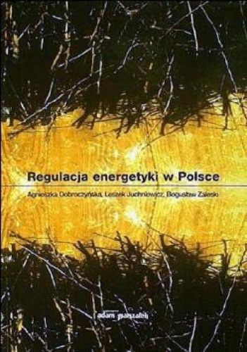 Okładka: Agnieszka Dobroczyńska - Regulacja energetyki w Polsce