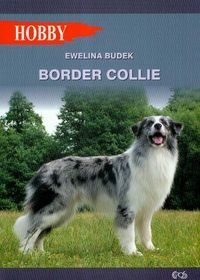 Okładka: Ewelina Budek - Border Collie