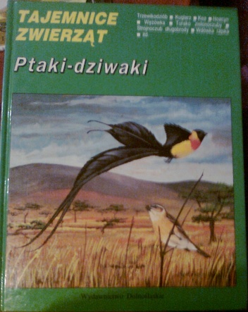 Okładka: Tadeusz Stawarczyk - Ptaki-dziwaki