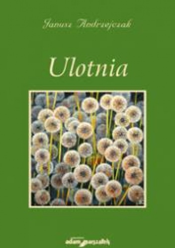 Okładka: Janusz Andrzejczak - Ulotnia