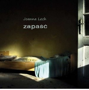 Okładka: Joanna Lech - Zapaść