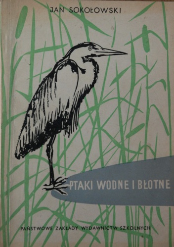 Okładka: Jan Sokołowski - Ptaki wodne i błotne