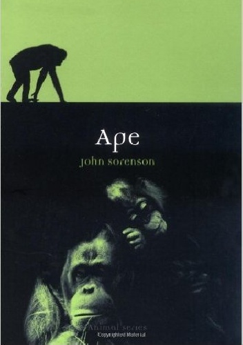 Okładka: John Sorenson - Ape