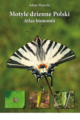 Okładka: Adam Warecki - Motyle dzienne Polski. Atlas bionomii