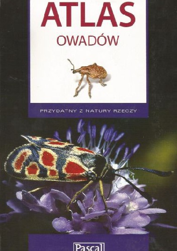 Okładka: Łukasz Przybyłowicz - Atlas owadów