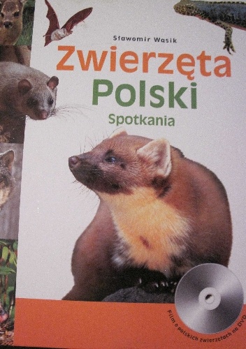 Okładka: Sławomir Wąsik - Zwierzęta Polski. Spotkania