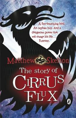 Okładka: Matthew Skelton - The Story of Cirrus Flux