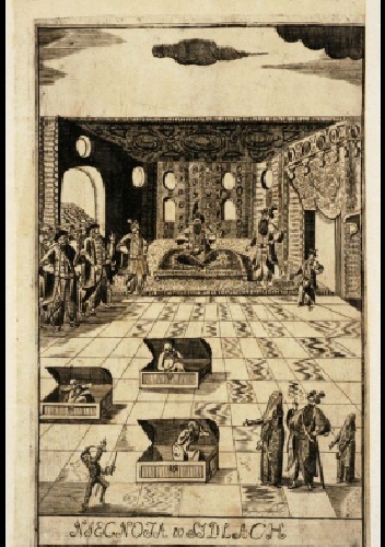 Okładka: Franciszka Urszula Radziwiłłowa - Niecnota w sidłach