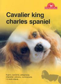 Okładka:  Zespół Over Dieren - Cavalier king charles spaniel