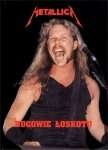 Okładka: Adam Ligiecki - Metallica. Bogowie łoskotu