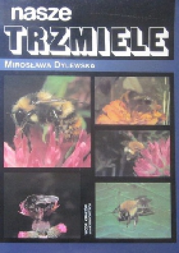 Okładka: Mirosława Dylewska - Nasze trzmiele.