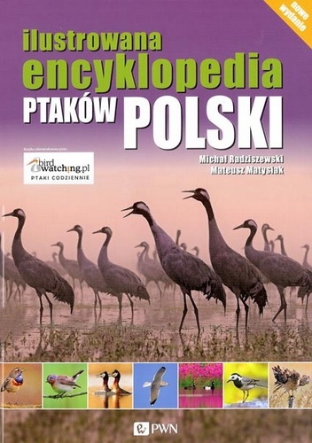 Okładka: Radziszewski Michał Matysiak Mateusz - Ilustrowana encyklopedia ptaków Polski