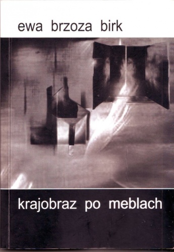 Okładka: Ewa Brzoza-Birk - Krajobraz po meblach