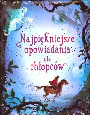 Okładka:  praca zbiorowa - Najpiękniejsze opowiadania dla chłopców