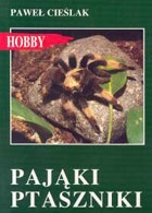 Okładka: Paweł Cieślak - Pająki ptaszniki