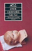 Okładka: Caleb Carr - Anioł ciemności
