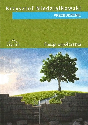 Okładka: Krzysztof NIEDZIAŁKOWSKI - PRZEBUDZENIE