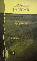 Okładka: Drago Jančar - Spojrzenie anioła. Opowiadania.