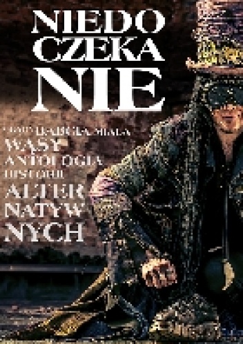 Okładka: Hanna Fronczak - Niedoczekanie