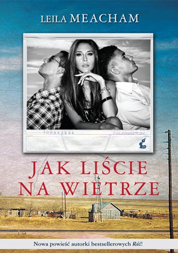 Okładka: Leila Meacham - Jak liście na wietrze