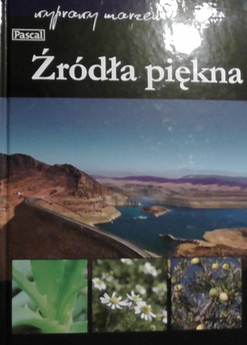 Okładka:  praca zbiorowa - Źródła piękna