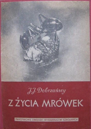 Okładka: Janina Dobrzańska - Z życia mrówek