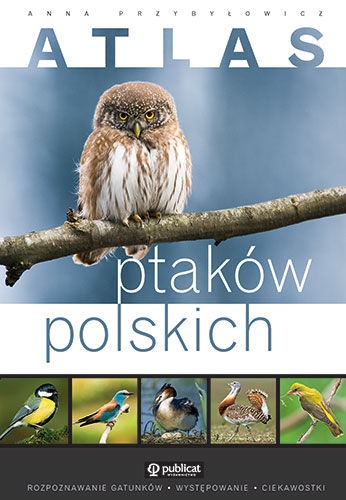 Okładka: Anna Przybyłowicz - Atlas ptaków polskich