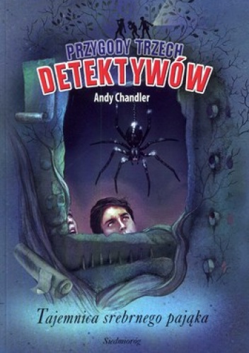 Okładka: Andy Chandler - Tajemnica srebrnego pająka