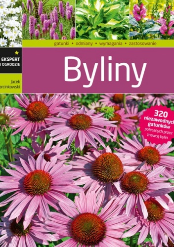 Okładka: Jacek Marcinkowski - Byliny
