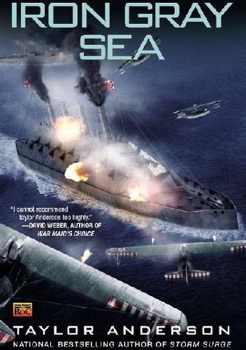 Okładka: Taylor Anderson - Destroyermen: Iron Gray Sea