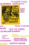 Okładka: Robert Stiller - Pokaż język czyli rozróbki i opowieści o polszczyźnie oraz 111 innych językach