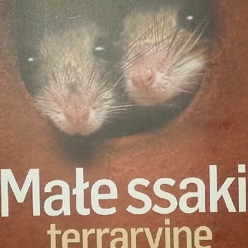 Okładka: Marcin Jan Gorazdowski - Małe ssaki terraryjne