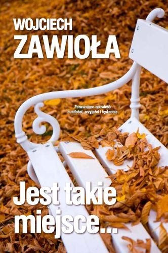 Okładka: Wojciech Zawioła - Jest takie miejsce...