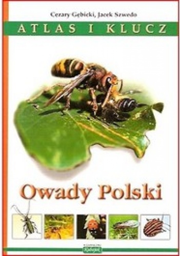 Okładka: Cezary Gębicki - Owady Polski. Atlas i klucz
