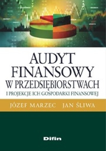 Okładka: Jan Śliwa - Audyt finansowy w przedsiębiorstwach i projekcje ich gospodarki finansowej
